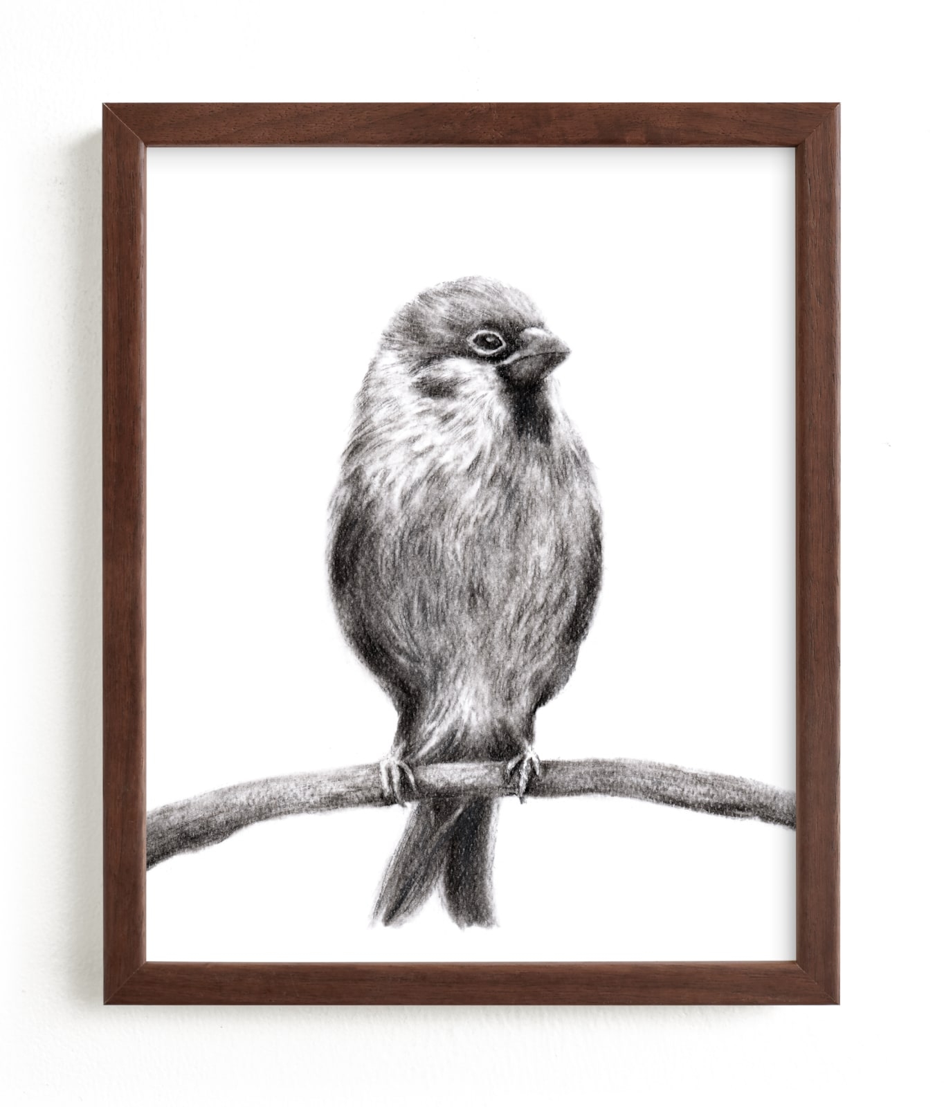 Little Sparrow Limited Edition Fine Art Print 2 - Image 0