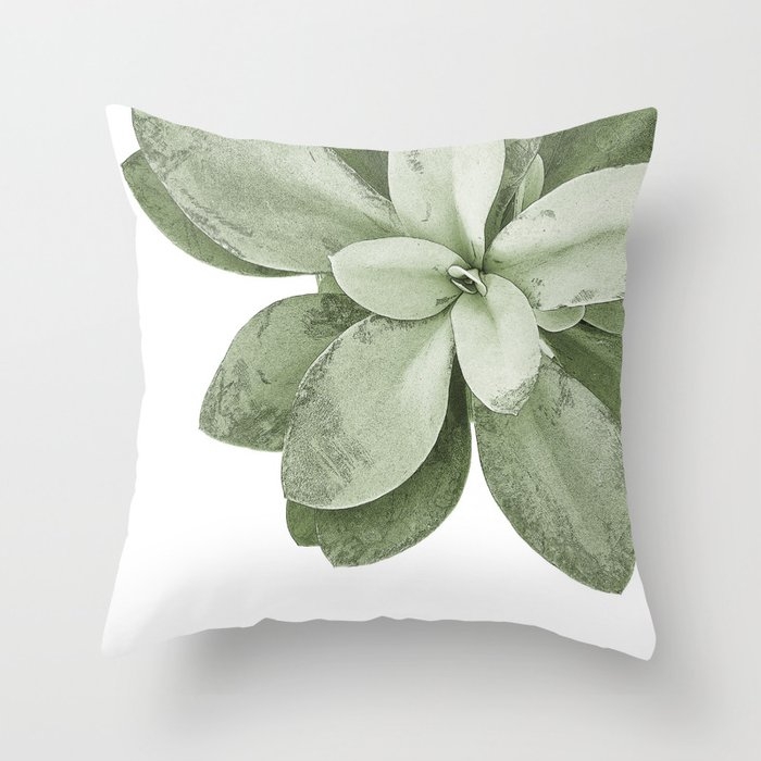 Green Succulent Plant On White Throw Pillow by Christina Lynn Williams - Cover (18" x 18") With Pillow Insert - Outdoor Pillow - Image 0
