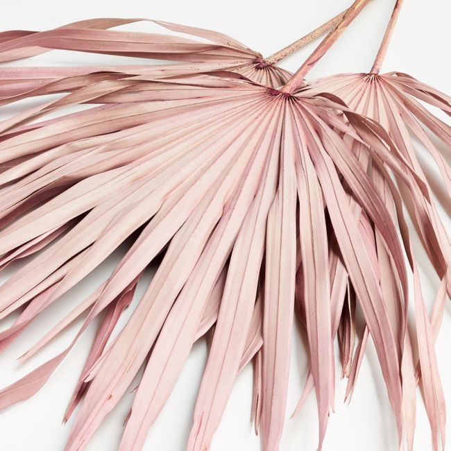Pink Paper Palms, Set of 3 - Image 0