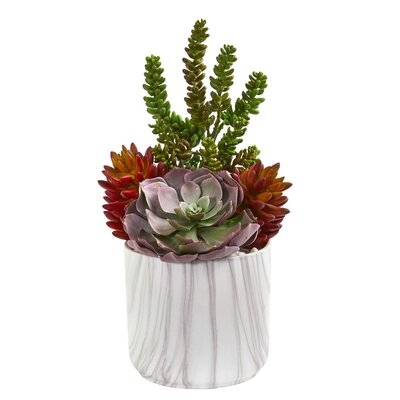 16 Echeveria And Sedum Succulent Artificial Plant In Vase" - Image 0