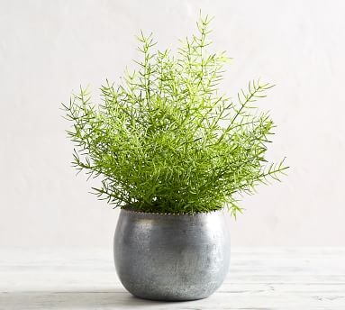 Faux Potted Ferns, Asparagus - Medium - Image 4