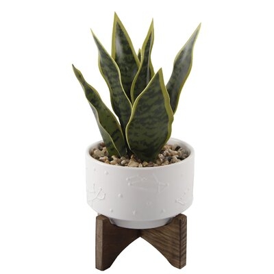5.75'' Artificial Snake Plant in Planter - Image 0