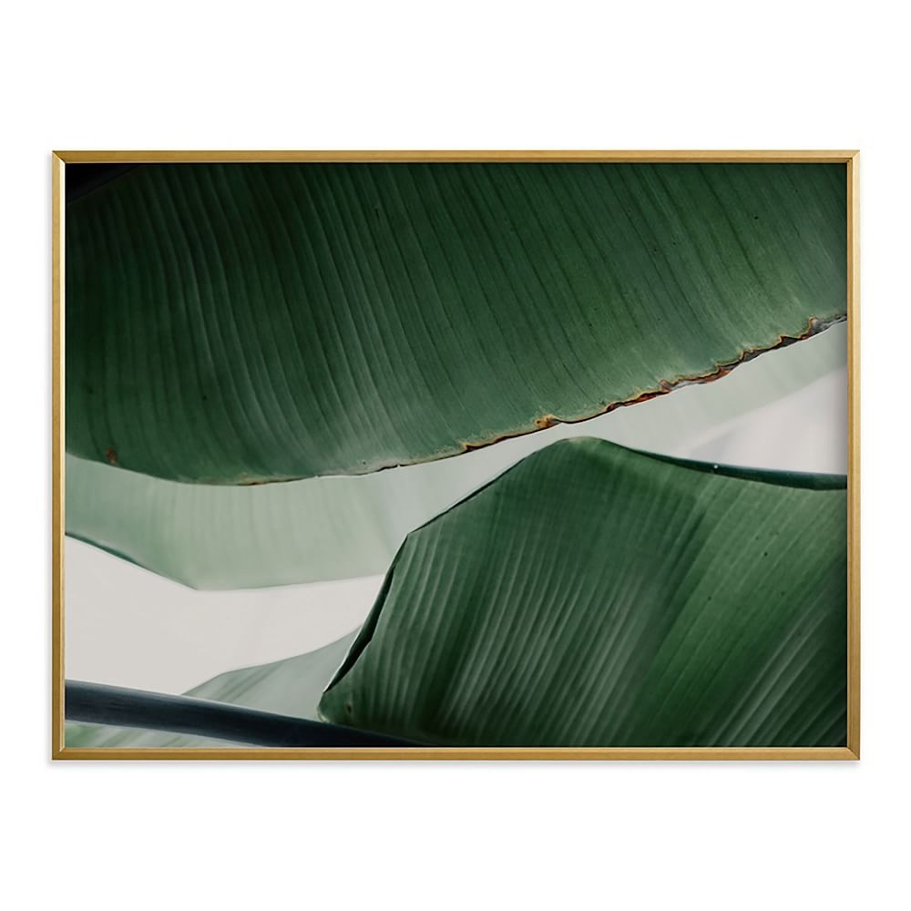 Leaf & Light 4, Full Bleed 40"x30", Gilded Wood Frame - Image 0
