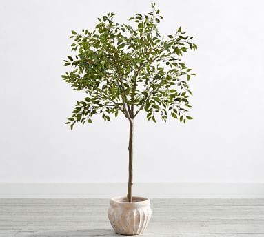 Faux Potted Triangular Ficus, 55" - Image 1