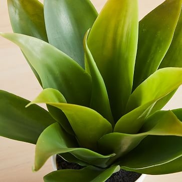 Faux Potted Agave, 12" - Image 2