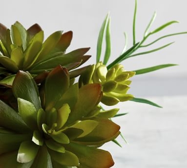 Faux Succulent Bouquet, Green, One - Image 1