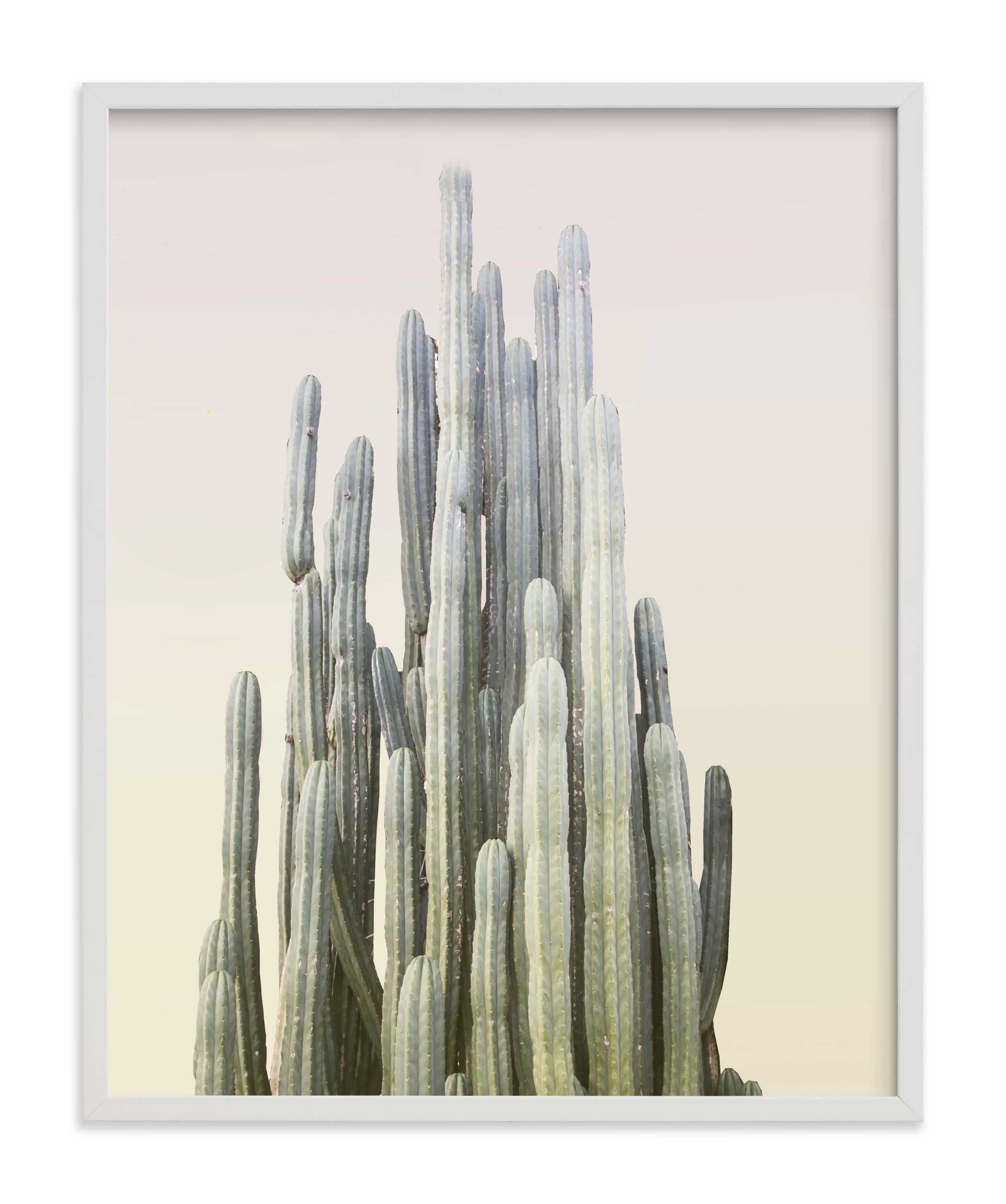 Summer Yellow Cactus Limited Edition Fine Art Print - Image 0