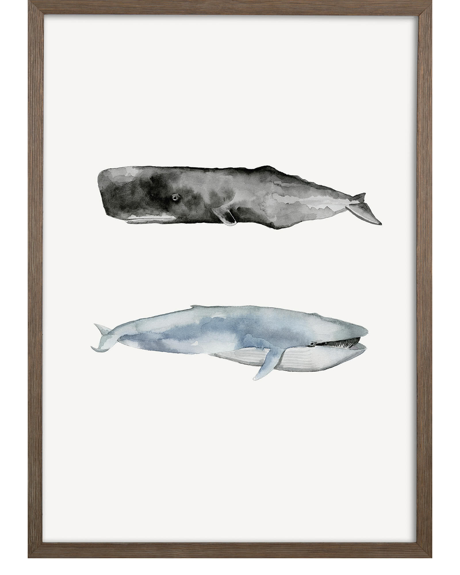"Whale Grouping2" by Natasha Marie - Image 0