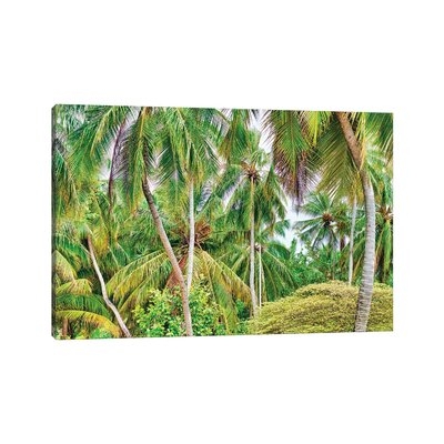 Palm Paradise by Mark Paulda - Wrapped Canvas Photograph Print - Image 0