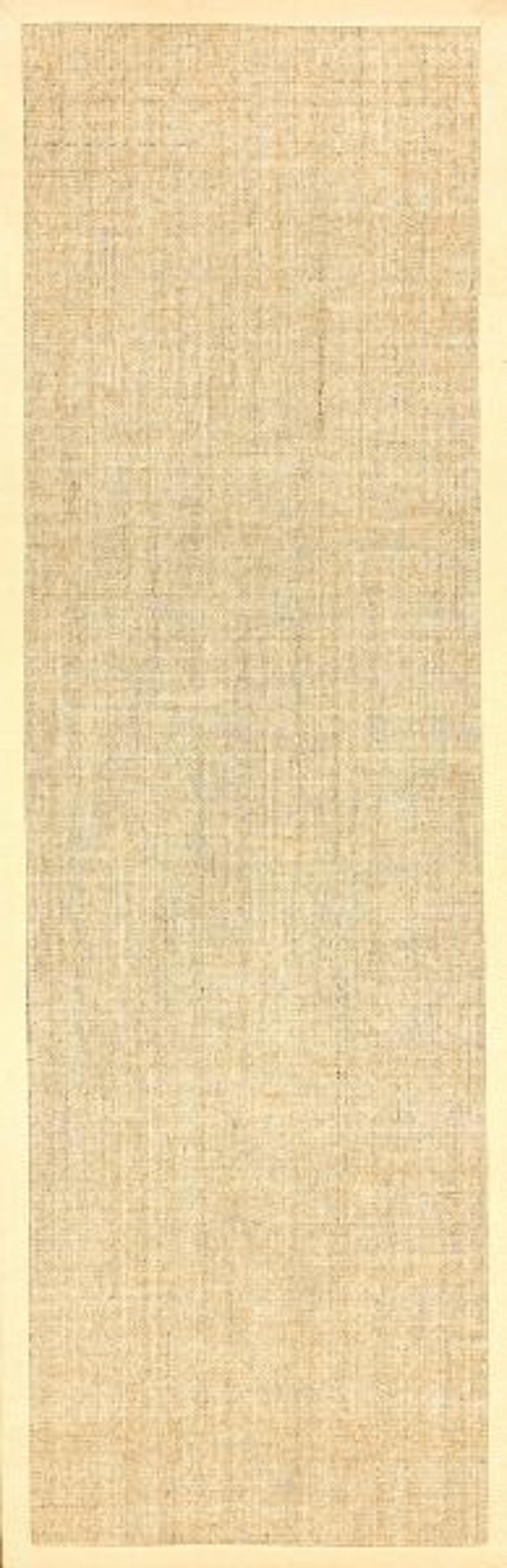 Machine Woven orsay sisal rug Area Rug - Image 4