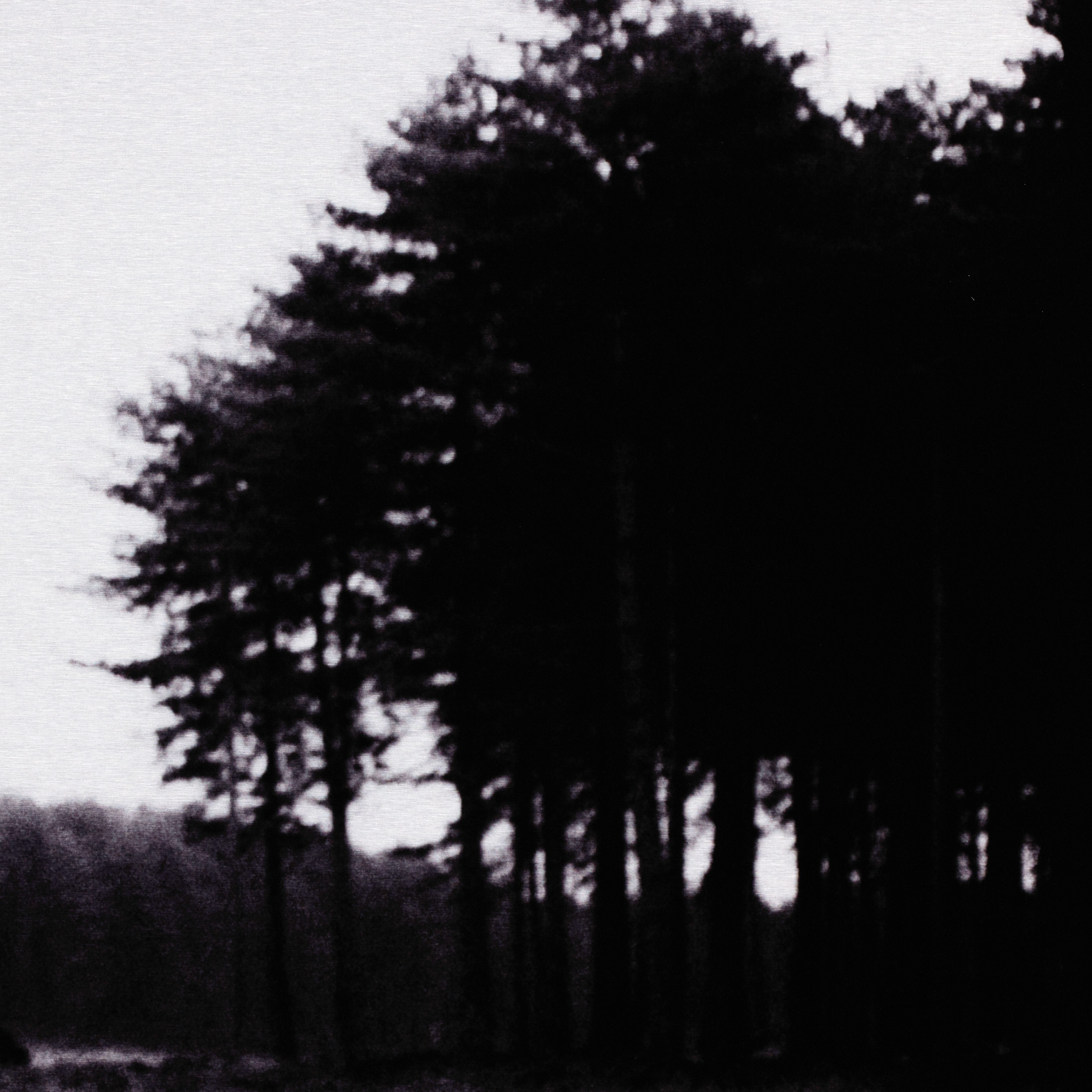 DISCONTINUED - Image 5