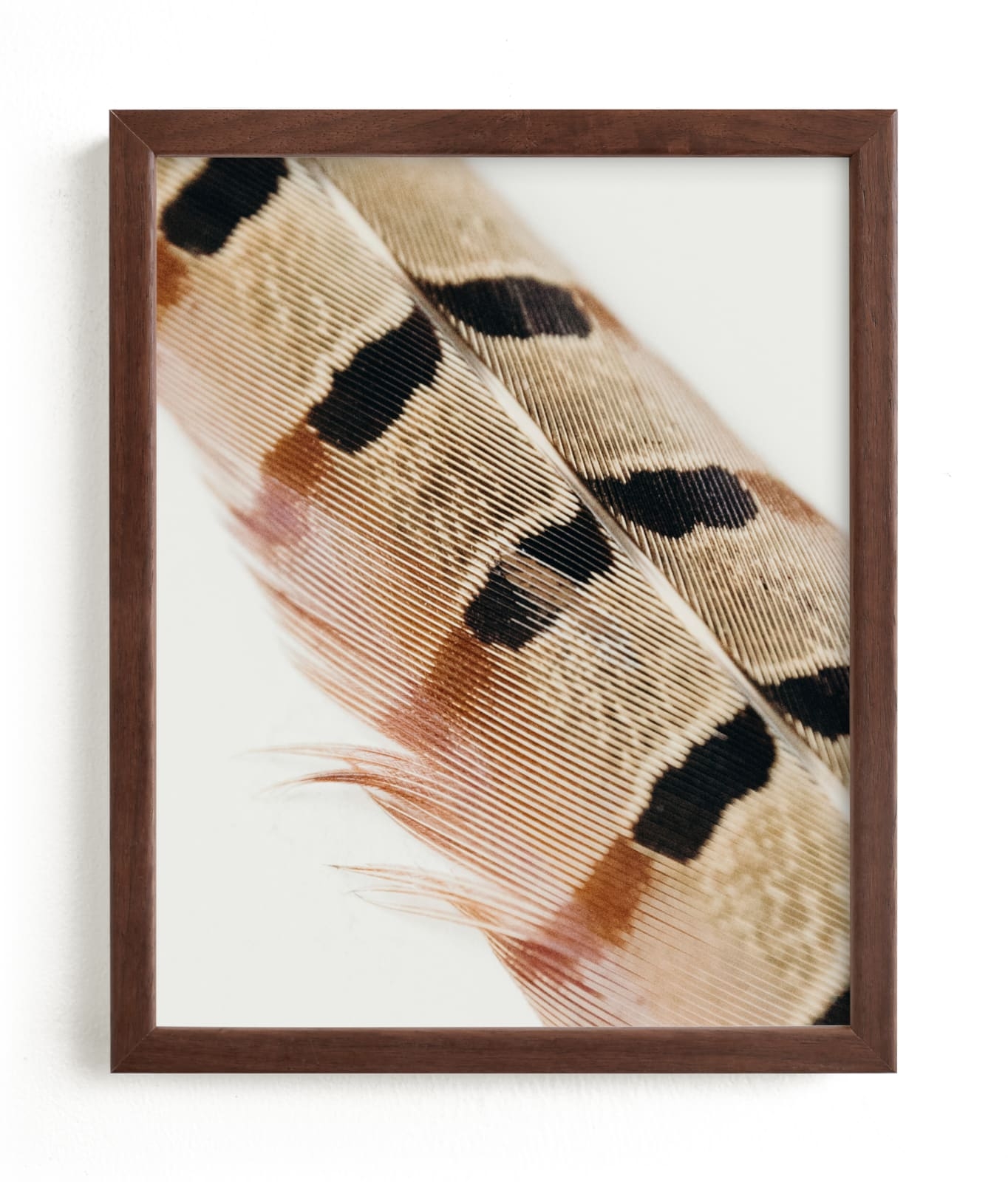 Feather Study I Limited Edition Fine Art Print 2 - Image 0