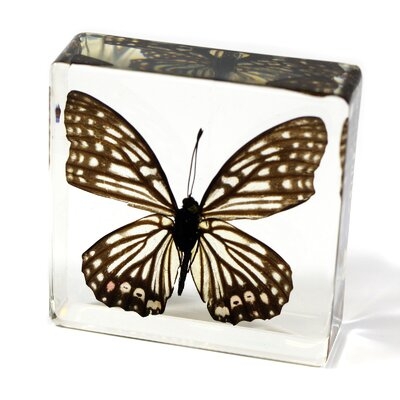 Ratzlaff Ring Skirt Butterfly Paperweight - Image 0