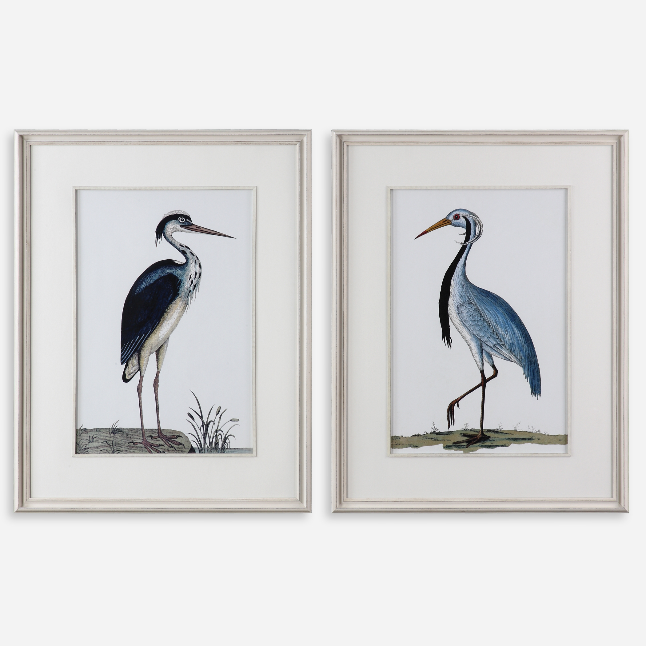 Shore Birds Framed Prints Set/2 - Image 0