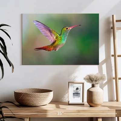 Iridescent Hummingbird - Thumbnail 2