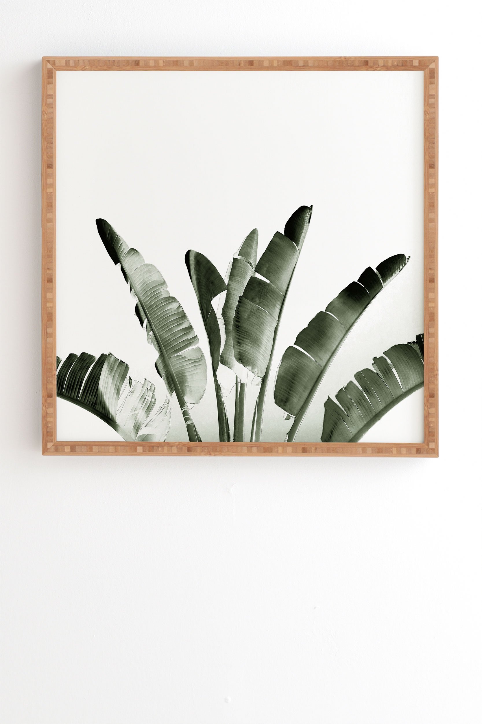 Traveler Palm by Gale Switzer - Framed Wall Art Bamboo 20" x 20" - Image 0