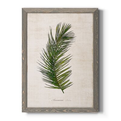 41006-Palm Botanical II-Premium Framed Canvas - Ready To Hang - Image 0