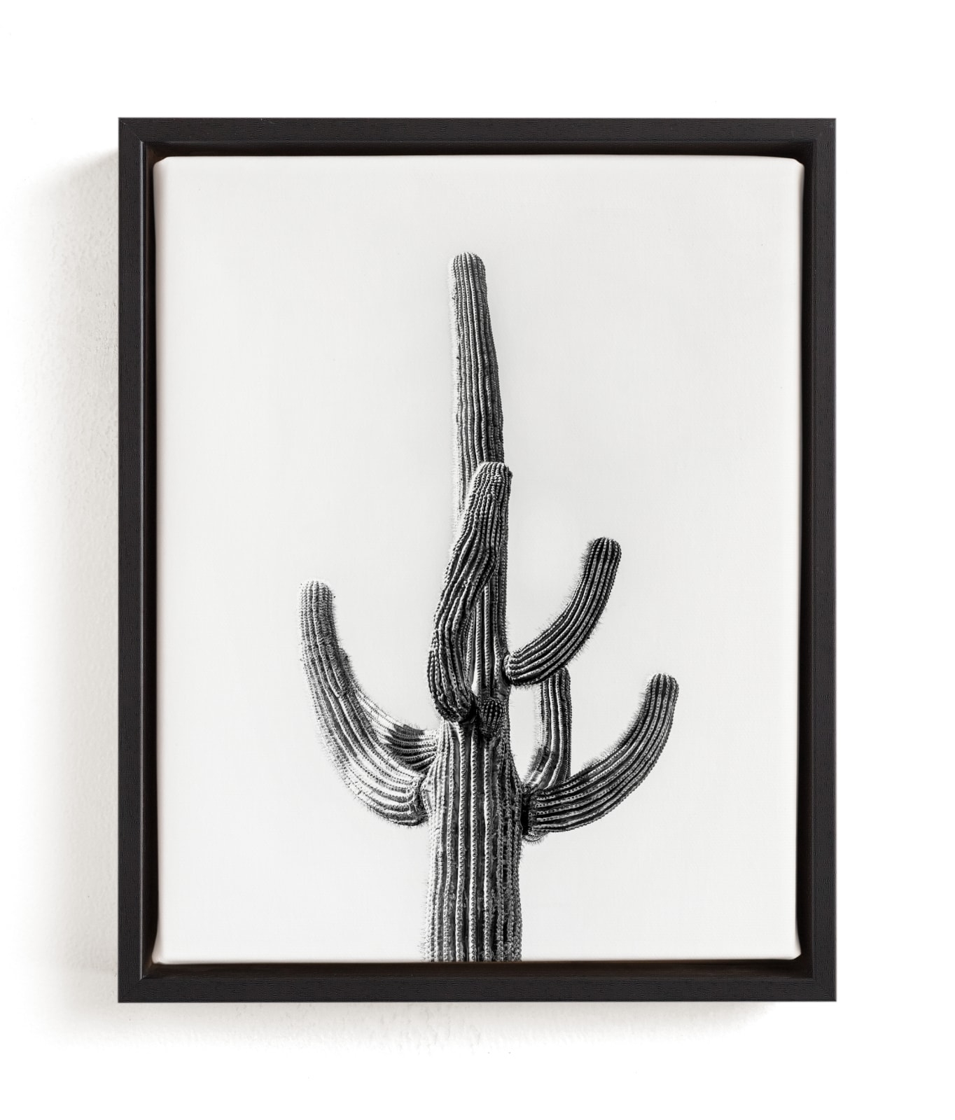 Lone Cactus Limited Edition Fine Art Print 2 - Image 0