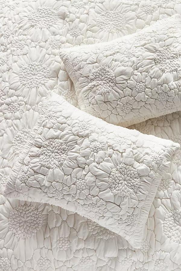 Dahlia Cotton Jersey Floral Shams, Set of 2 - Image 0