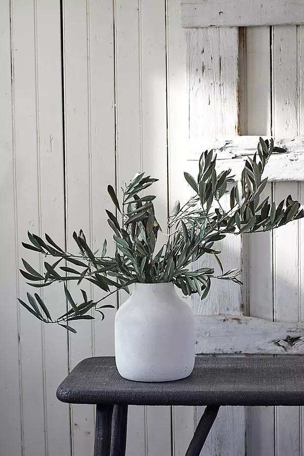 Preserved Olive Branch Bunch - Image 0