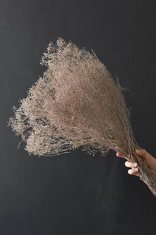 Dried Gypso Bunch - Image 0