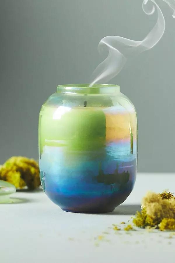 Iridescent Fresh Fern Moss Glass Jar Candle - Image 0