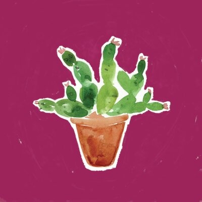 Bright Cactus Print On Canvas - Image 0