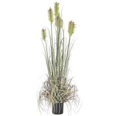 Reed 72" Artificial Flowering Grass in Pot - Image 0