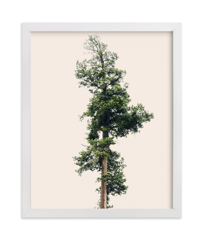 Solo Limited Edition Fine Art Print 1 - Image 0