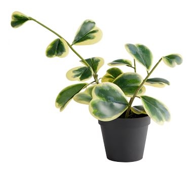Faux Potted Houseplant, Trailing Heart - Image 2