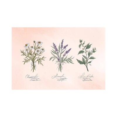 Calming Herbs by Lily & Val - Wrapped Canvas Gallery-Wrapped Canvas Giclée - Image 0