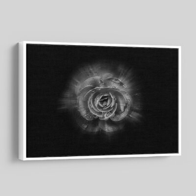 'Backyard Flowers In Black And White 64' - Photographic Print On Wrapped Canvas - Image 0