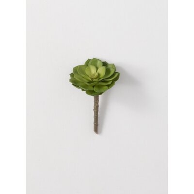 5.5" Artificial Succulent - Image 0