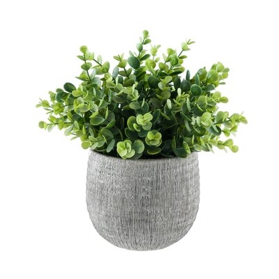 5.75'' Artificial Eucalyptus Plant in Pot - Image 0