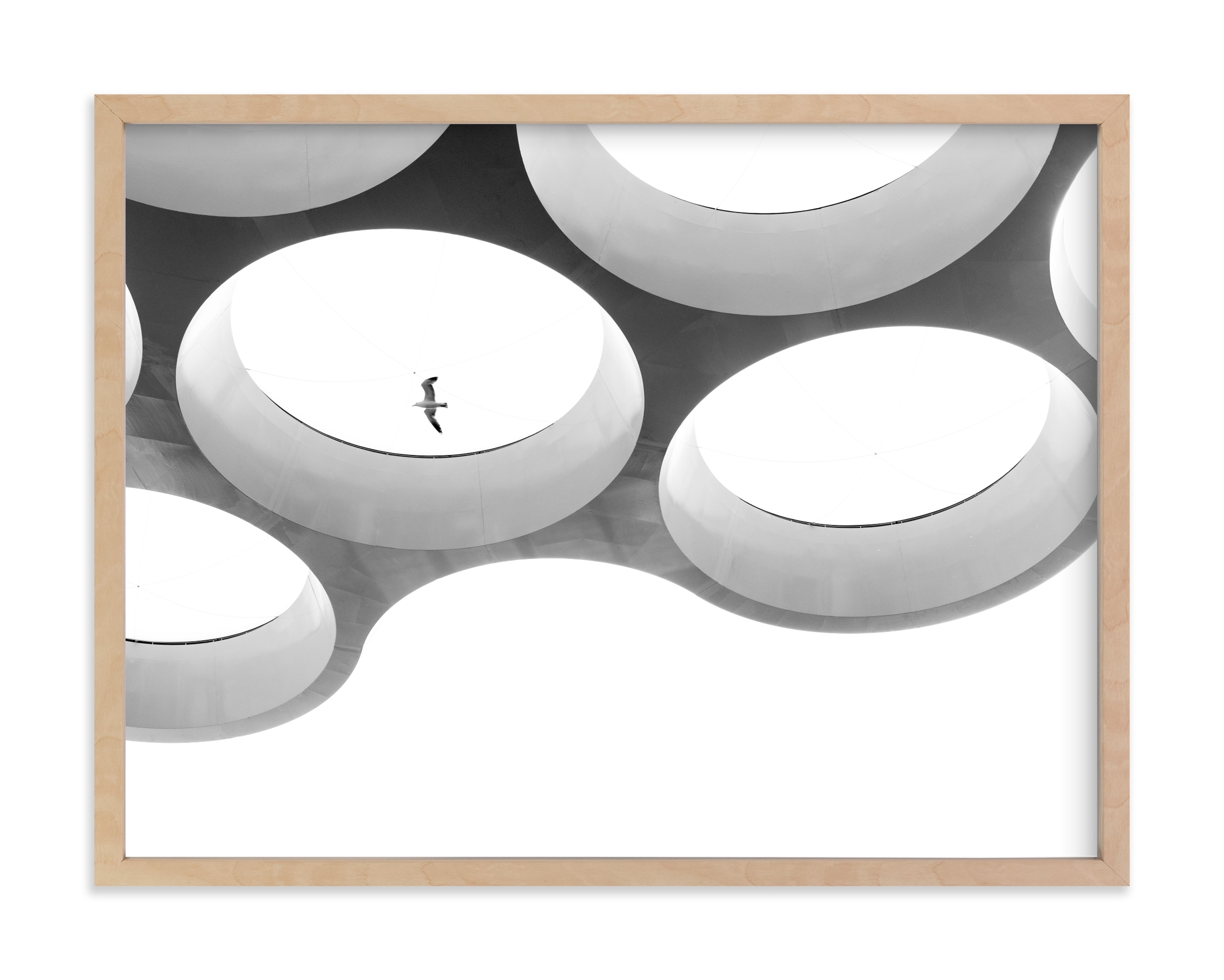 In Flight Limited Edition Fine Art Print 1 - Image 0