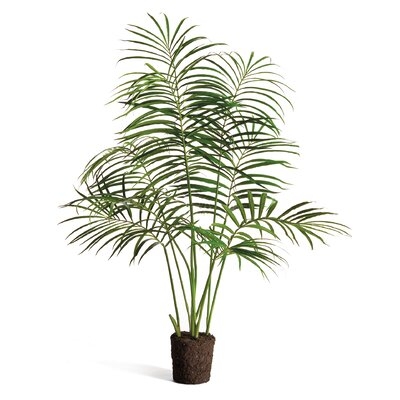 Tree Drop-in Palm Plant - Image 0