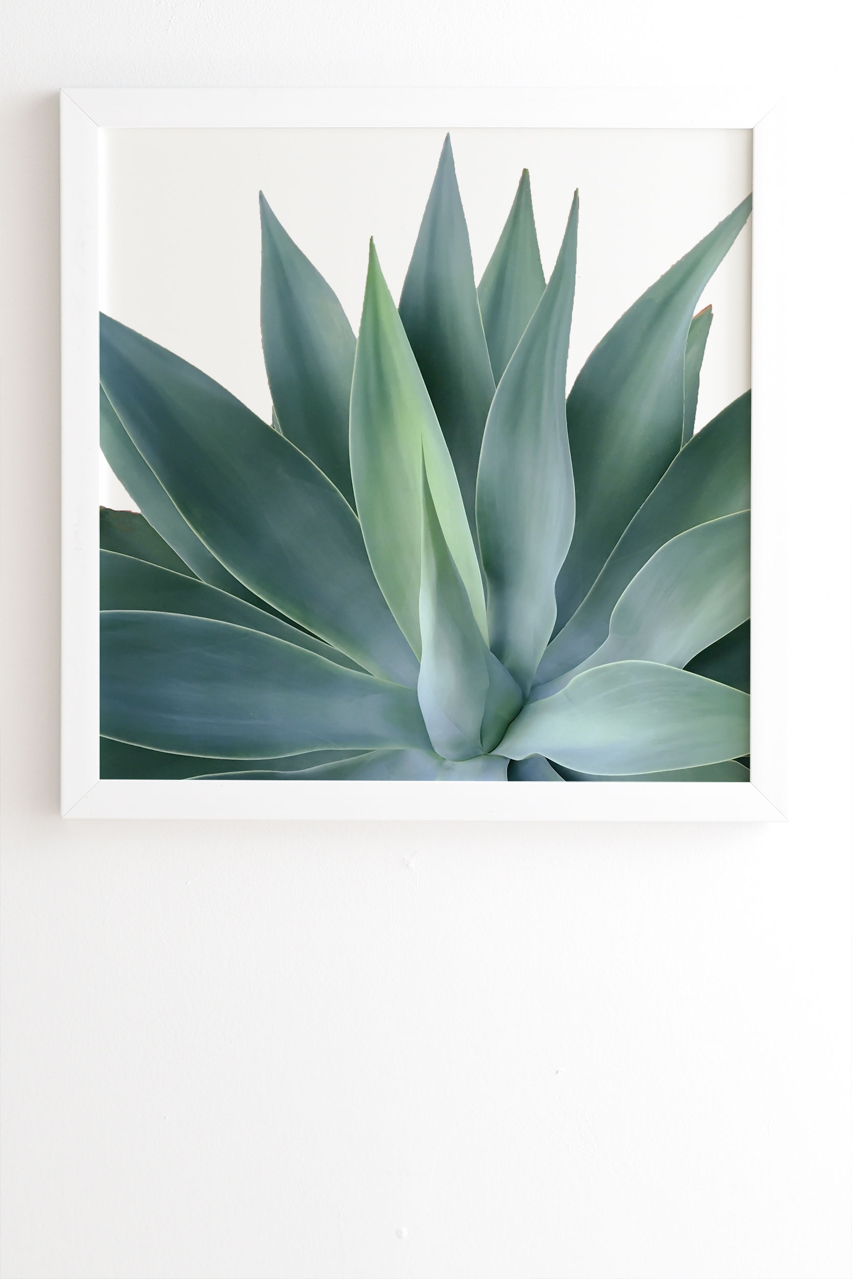Agave Blanco by Gale Switzer - Framed Wall Art Basic White 19" x 22.4" - Image 1
