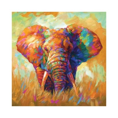 Elephant - Wrapped Canvas Print - Image 0
