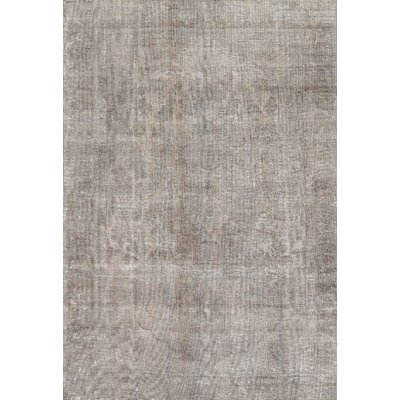 Oriental Wool Gray/Tan Area Rug - Image 0