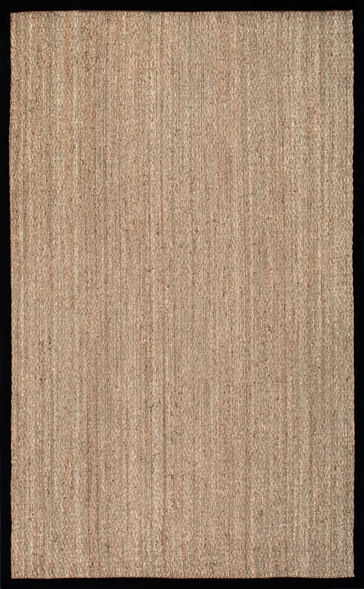 Elijah Seagrass with Border Area Rug - Image 1