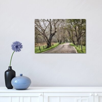 Late Afternoon Walk by Andy Amos - Photograph Print - Image 0