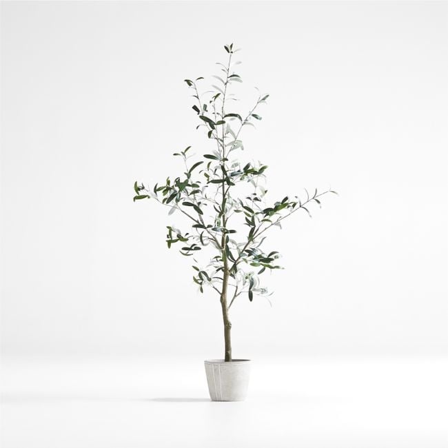 Faux Olive Tree in Pot 5' - Image 0