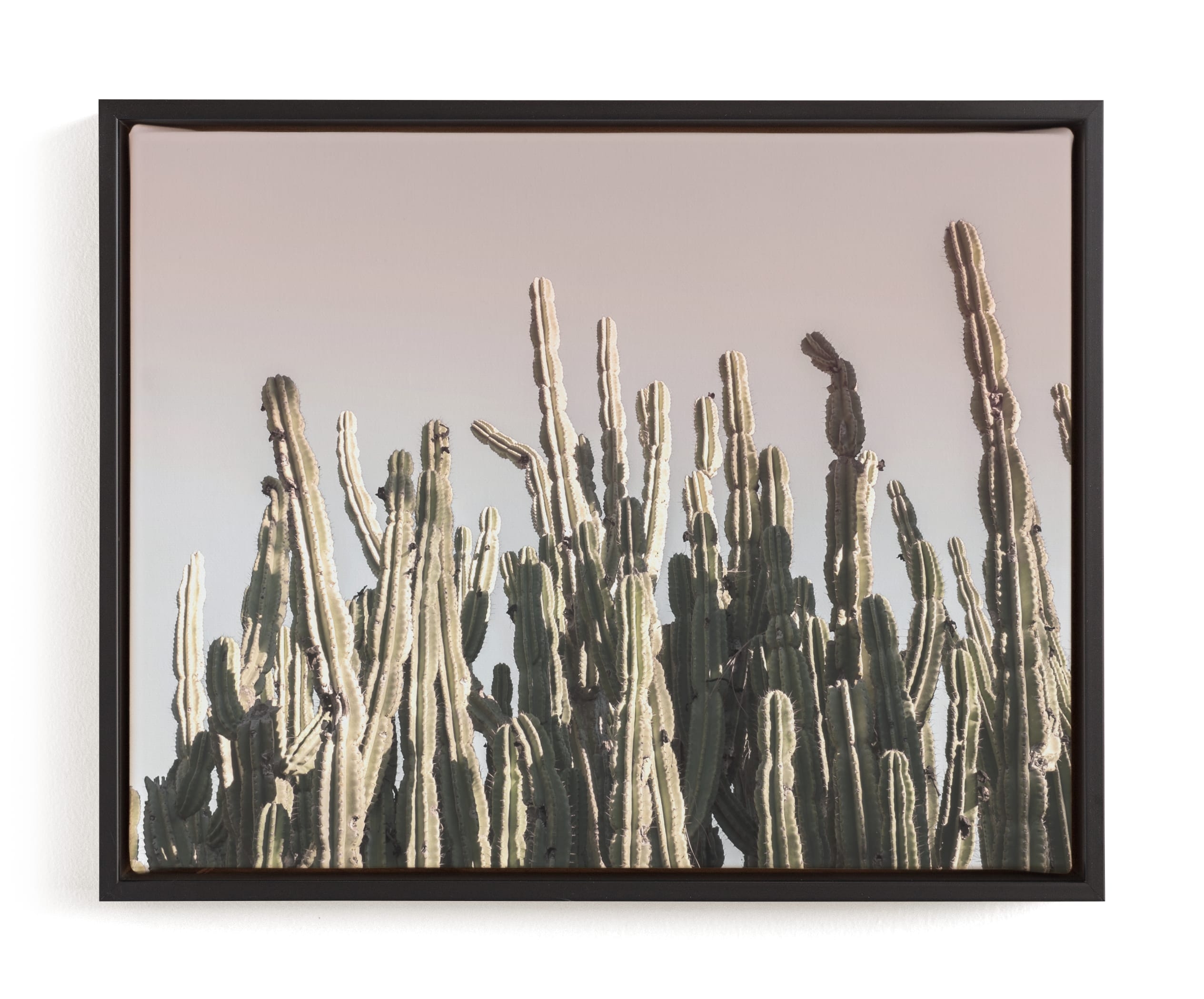 Summer Cactus Limited Edition Fine Art Print 1 - Image 0