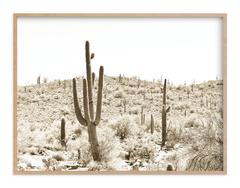 Dusty Cacti Art Print - Image 0