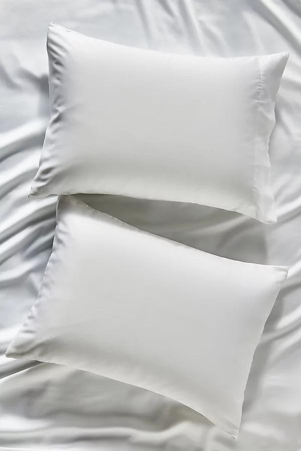 Sijo AiryWeight Eucalyptus Shams, Set of 2 - Image 0