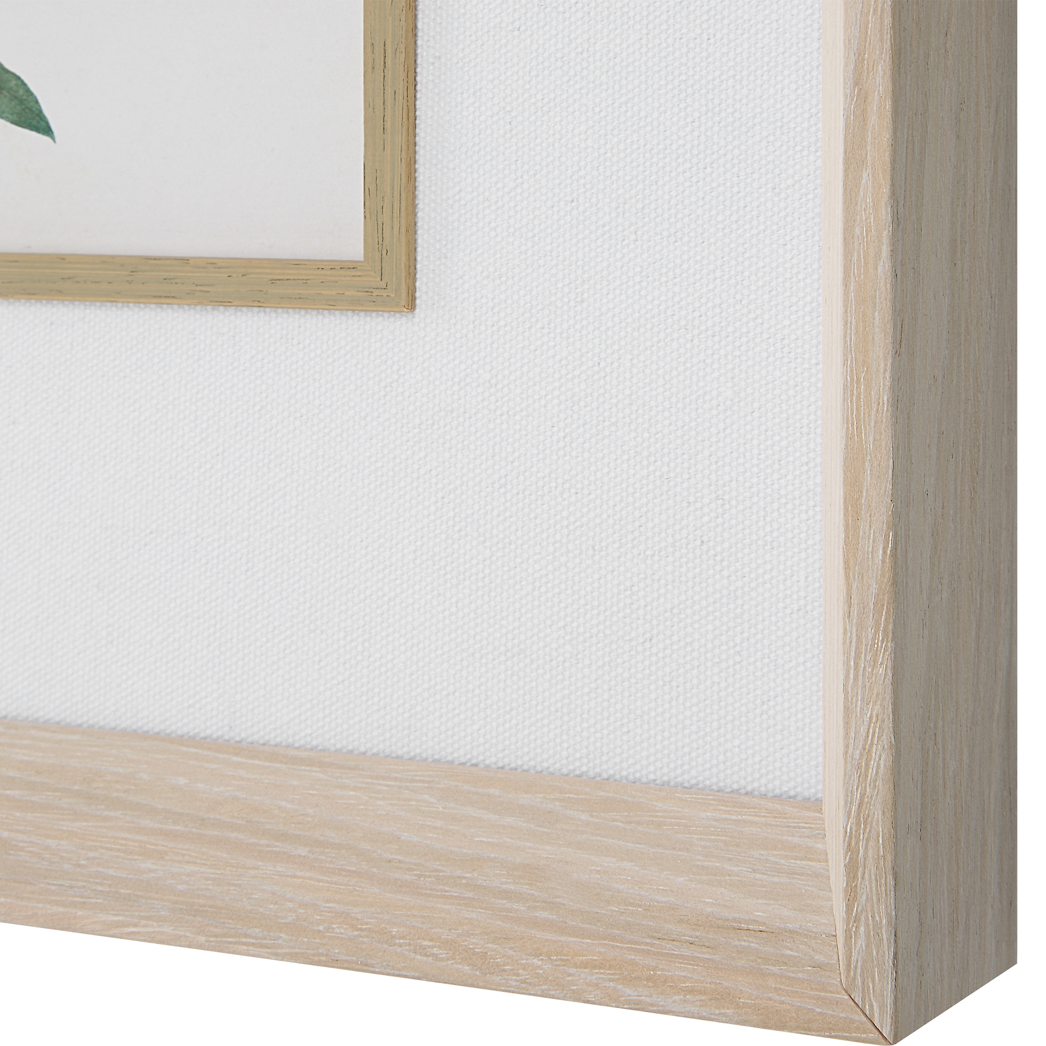 Classic Botanicals Framed Prints Set/6 - Image 5