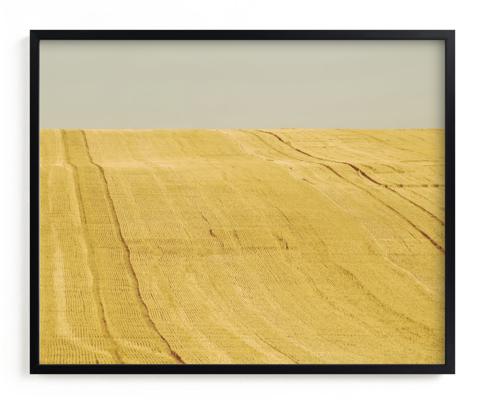 Sunny Field Limited Edition Fine Art Print 2 - Image 0