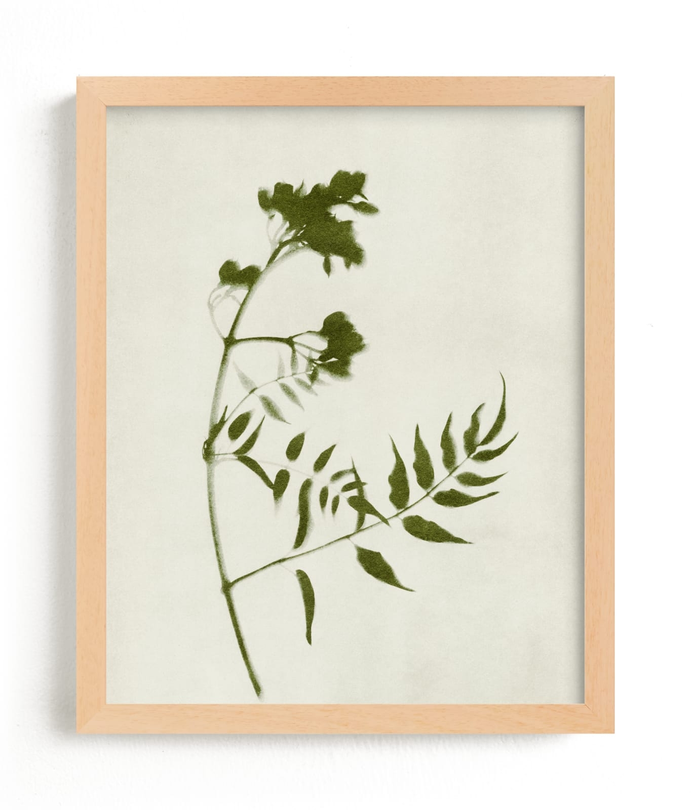 Foraged I Limited Edition Fine Art Print 2 - Image 0