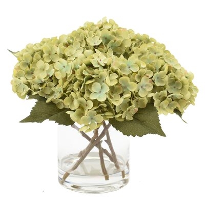 Hydrangea - Image 0