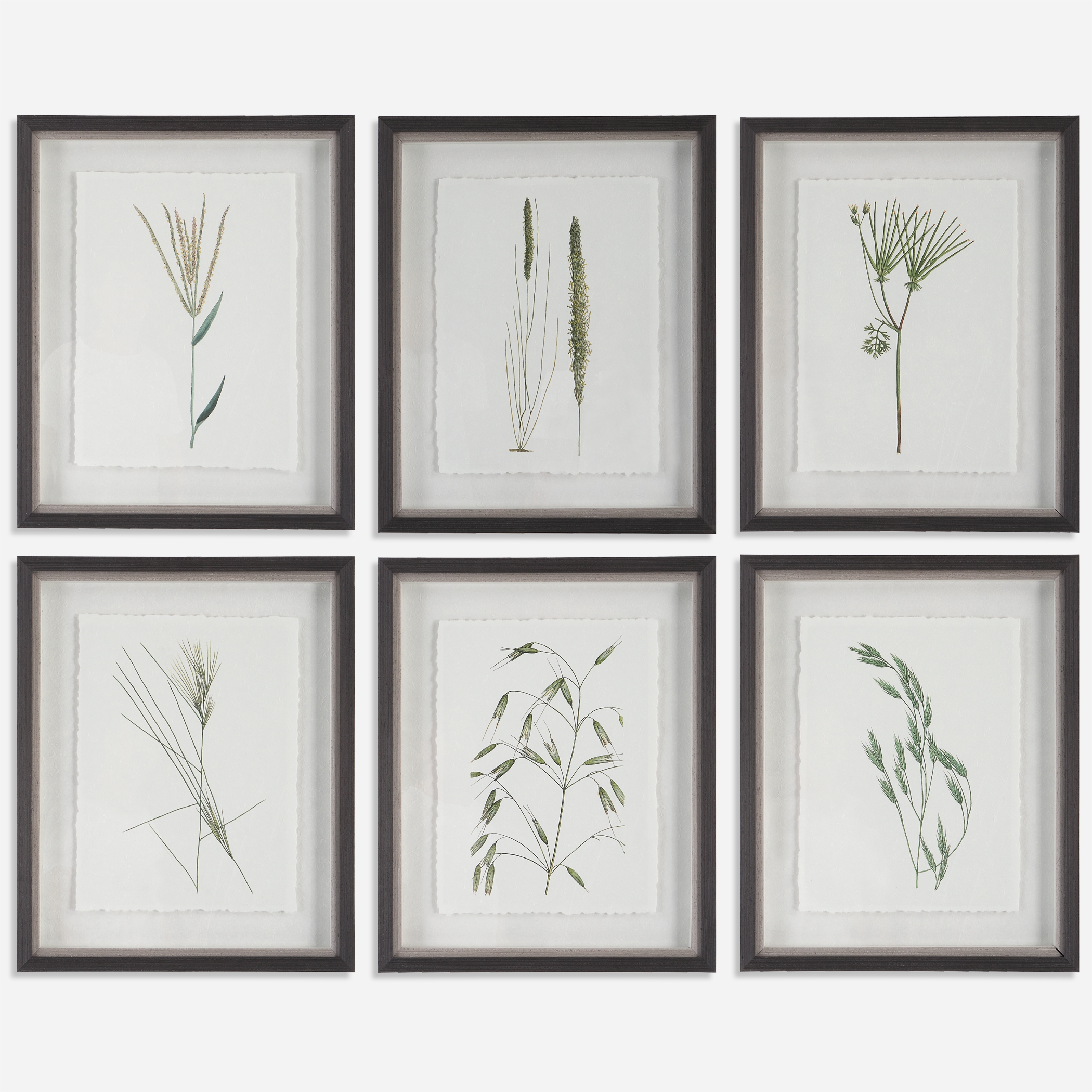 Forest Finds Framed Prints Set/6 - Image 0